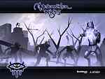 Neverwinter Nights